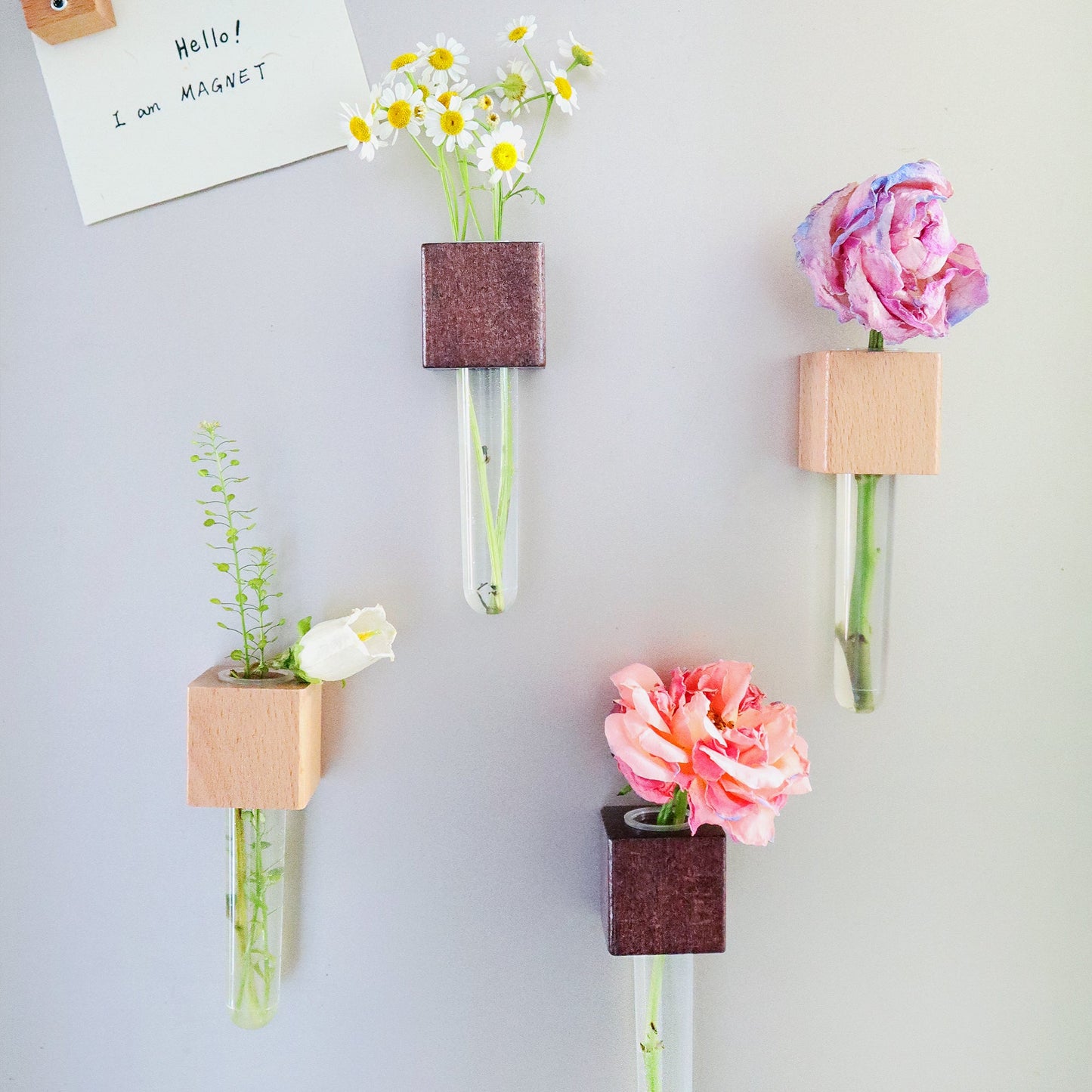Mini Beech & Walnut Vase Magnets, Set of 2