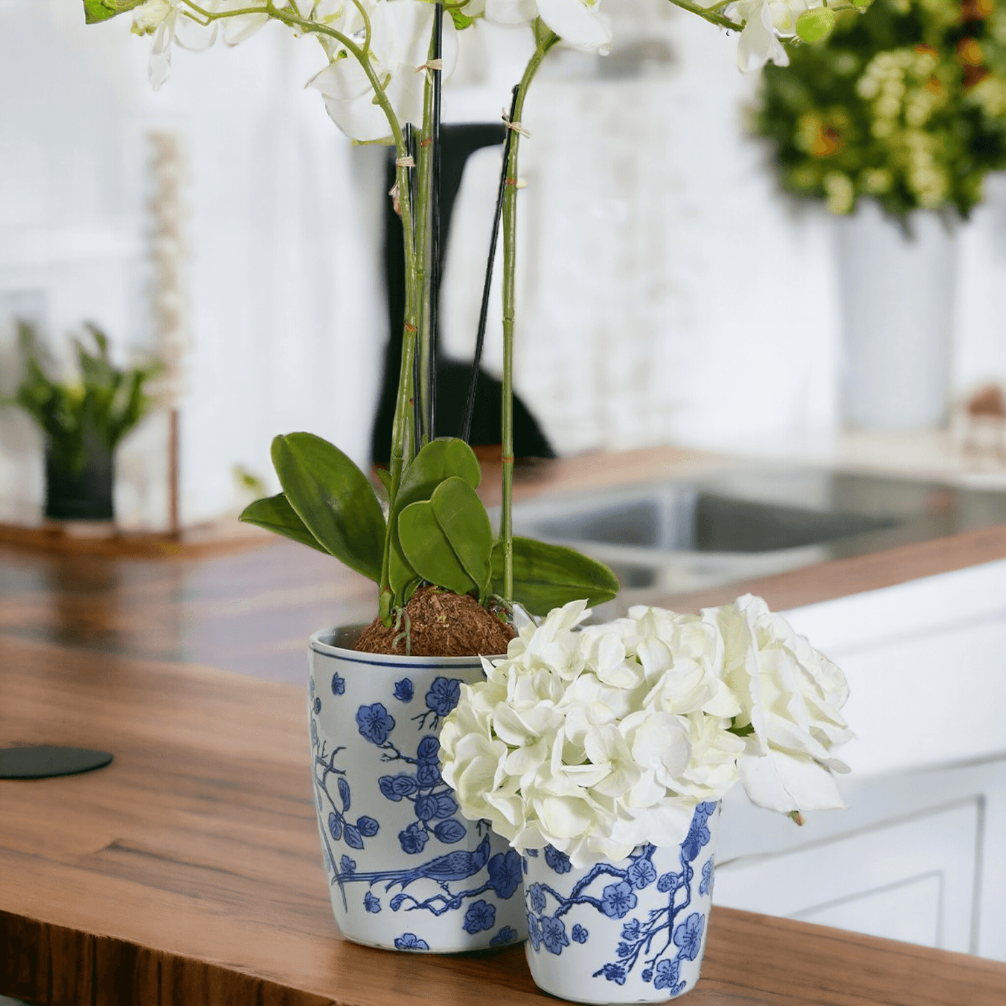 Blue and White Chinoiserie Vases