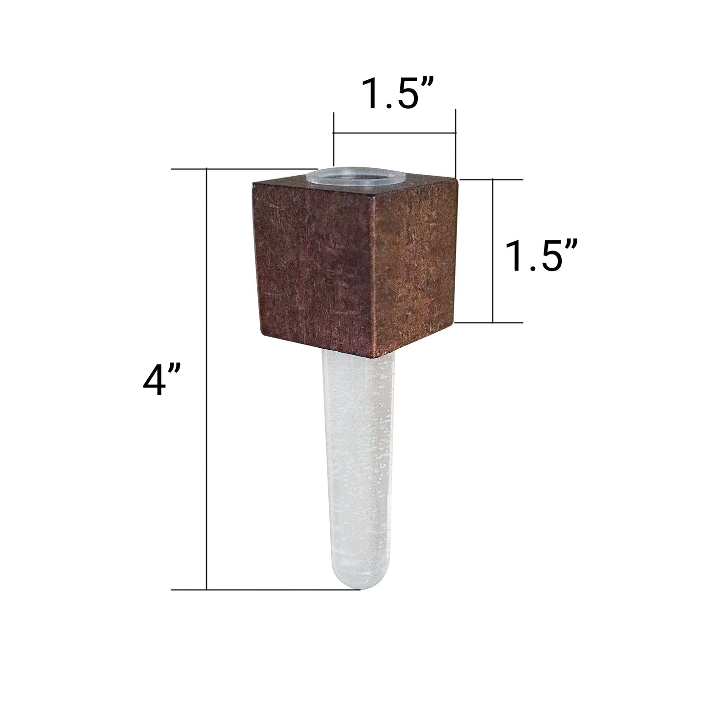 Mini Beech & Walnut Vase Magnets, Set of 2