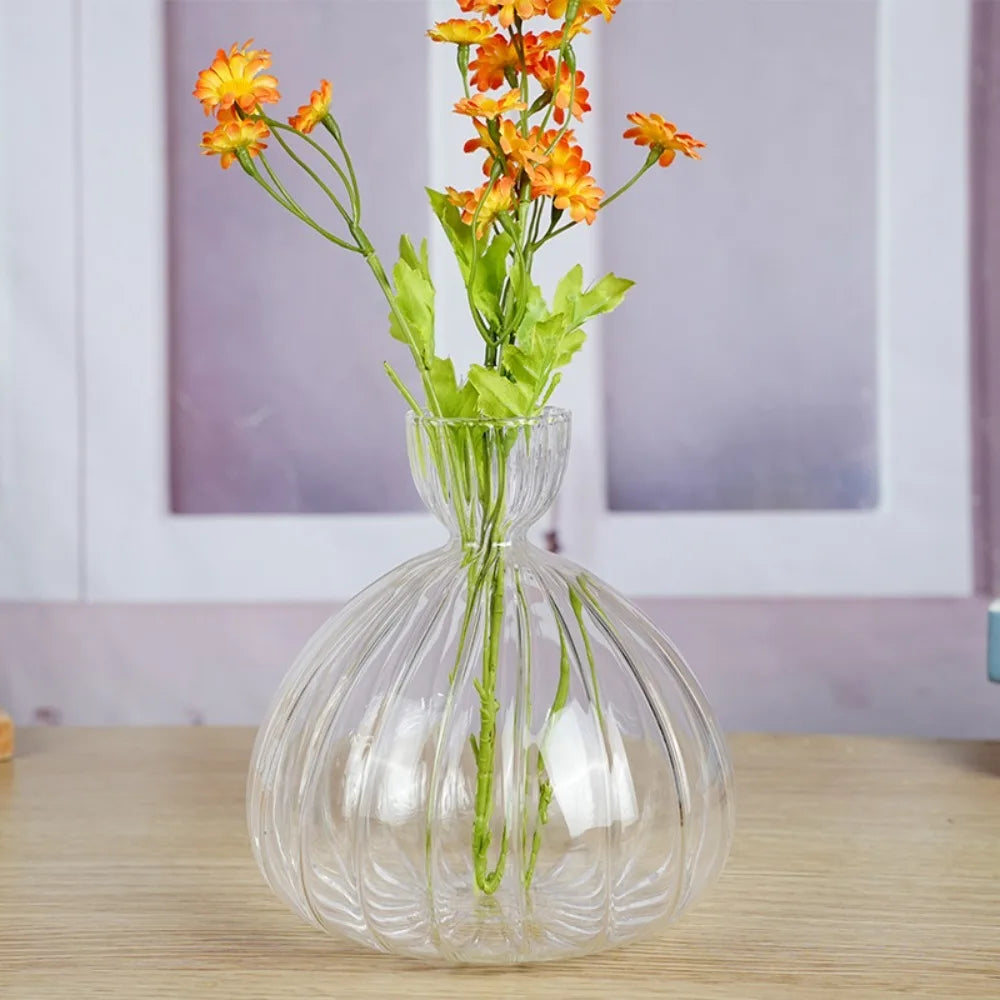 Avocado Seed Starter Hydroponic Vase